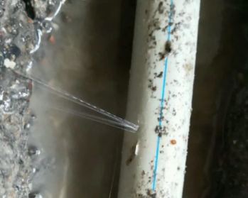 宁强卫生间测漏水多少钱