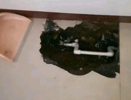 宁强卫生间测漏水多少钱